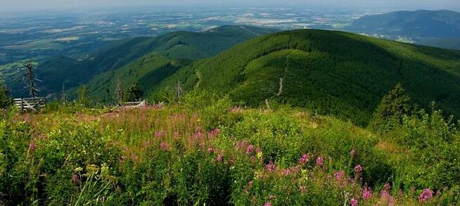 Bushcraft,Survival,Trekking-Organizacja wypraw-Beskidy.