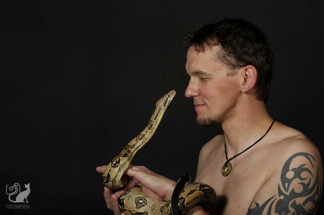 Sesja zdjęciowa zwierząt, zwierzęca fotografia, fotozwierzak