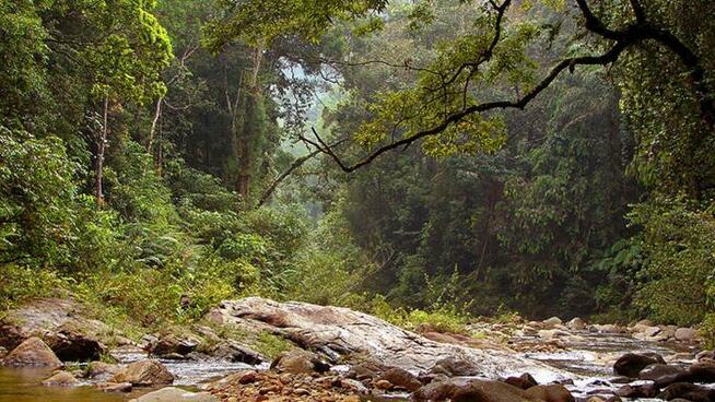 Bushcraft,Survival,Trekking-Organizacja wypraw-Beskidy.