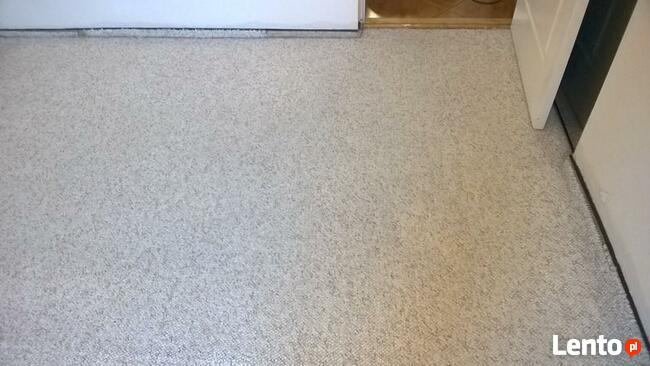 Profesjonalne Czyszczenie Wykładzin Dywanowych