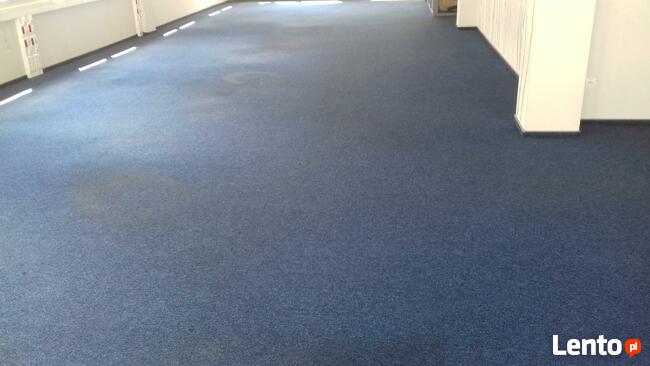 Profesjonalne Czyszczenie Wykładzin Dywanowych