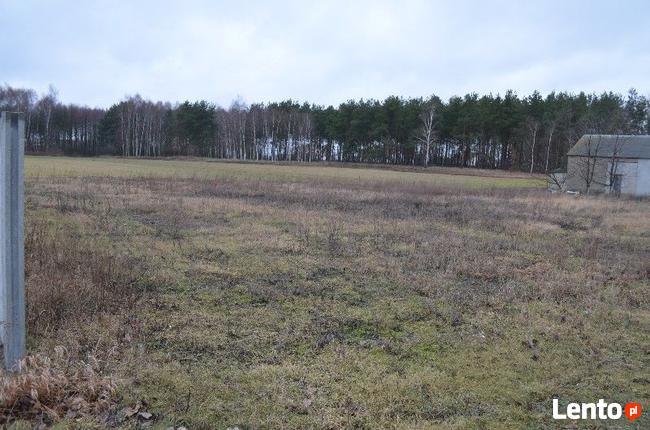 Działka w Mariampolu na sprzedaż!