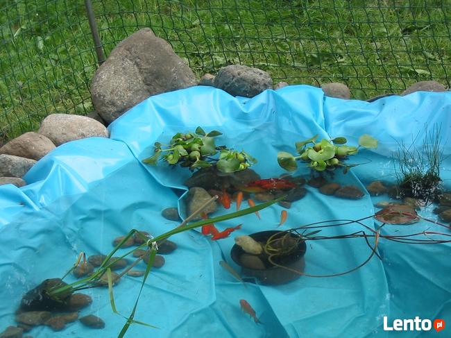 Noclegi nad kaszubskim jeziorem obok Szymbarku i Wieżycy..