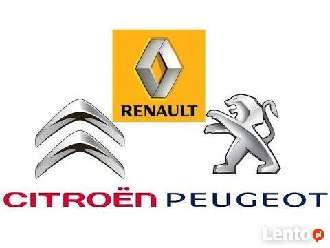 Diagnostyka Komputerowa Peugeot Citroen