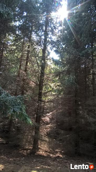 Działka Rolna położona w otulinie Bolimowskiego Parku Krajob