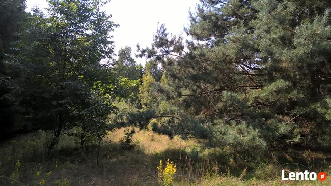 Działka Rolna położona w otulinie Bolimowskiego Parku Krajob