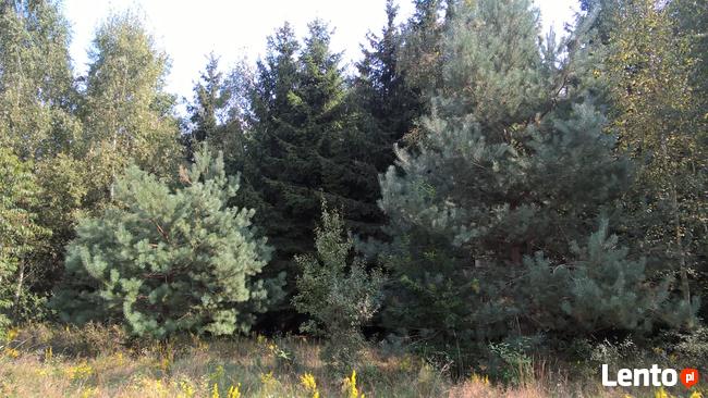 Działka Rolna położona w otulinie Bolimowskiego Parku Krajob