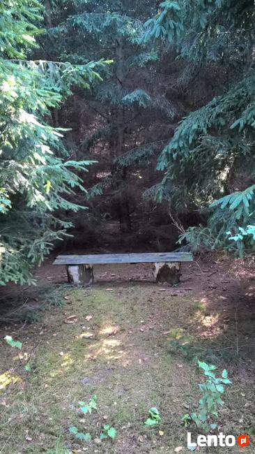 Działka Rolna położona w otulinie Bolimowskiego Parku Krajob