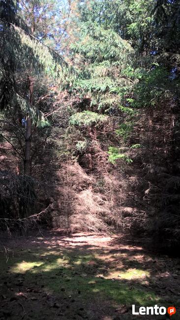 Działka Rolna położona w otulinie Bolimowskiego Parku Krajob