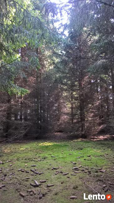 Działka Rolna położona w otulinie Bolimowskiego Parku Krajob