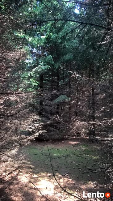 Działka Rolna położona w otulinie Bolimowskiego Parku Krajob