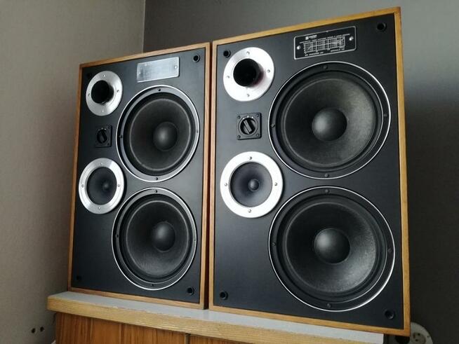 Regeneracja głośników Śląsk !