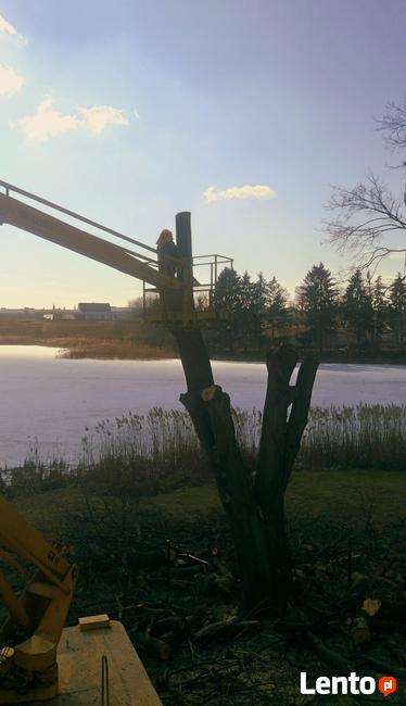 Wycinka drzew i krzewów