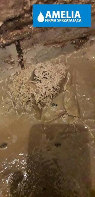 Sprzątanie po wybiciu szamba dezynfekcja Tarnów 24h/7