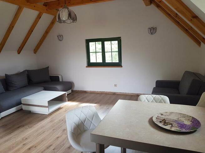 Apartament nad JezioremMausz, teren zamknięty, ŁódkaKajak