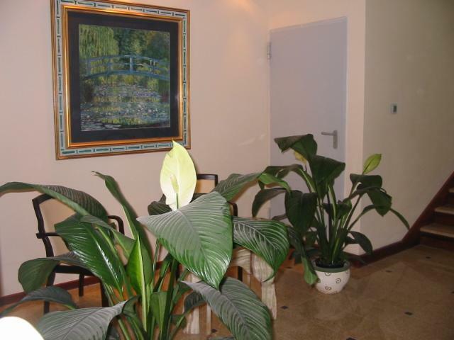 Lokal użytkowy Warszawa Śródmieście, Śródmieście, Mazowiecka