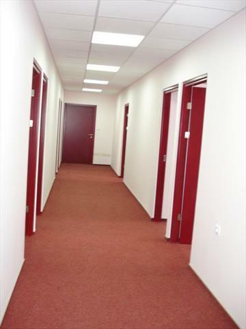 Lokal użytkowy Warszawa Śródmieście, Śródmieście, Koszykowa