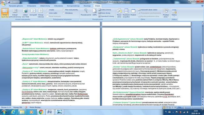 MATURA wiedza o społeczeństwie wos - NOTATKI, repetytorium