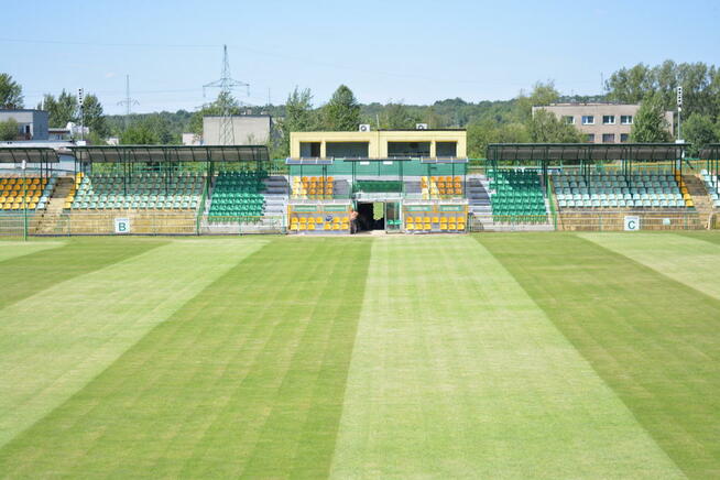 Kierownik, ogrodnicy i pracownicy fiz. także do Niemiec