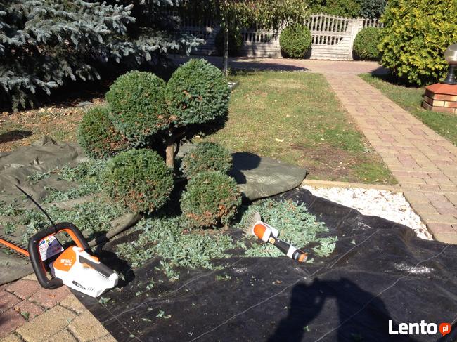 modelowanie przycinanie tui krzewów 505-933-515