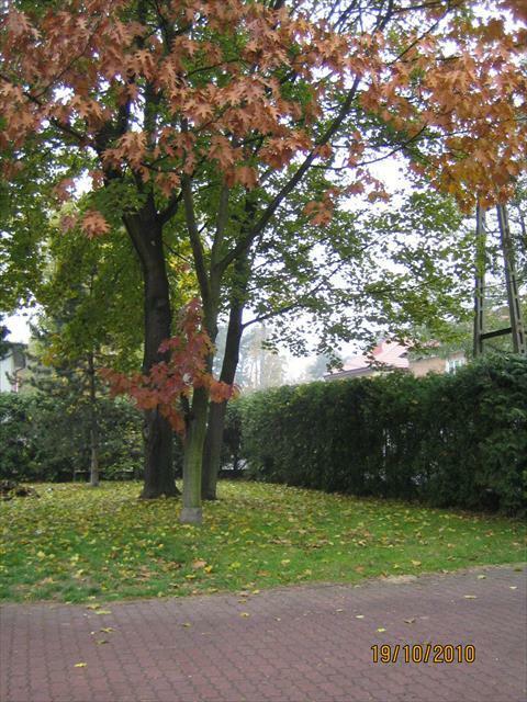 Dom Warszawa Wawer, Anin, Poprzeczna