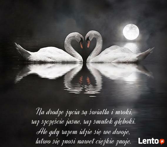 Samotna mama pozna samotnego tatę ale nie tylko...