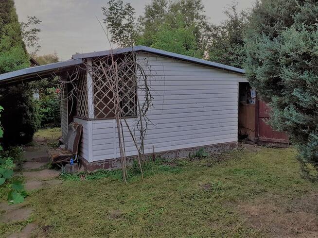 Sprzedam działka ogrodowa rekreacyjna ROD Dębowa