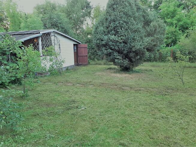 Sprzedam działka ogrodowa rekreacyjna ROD Dębowa