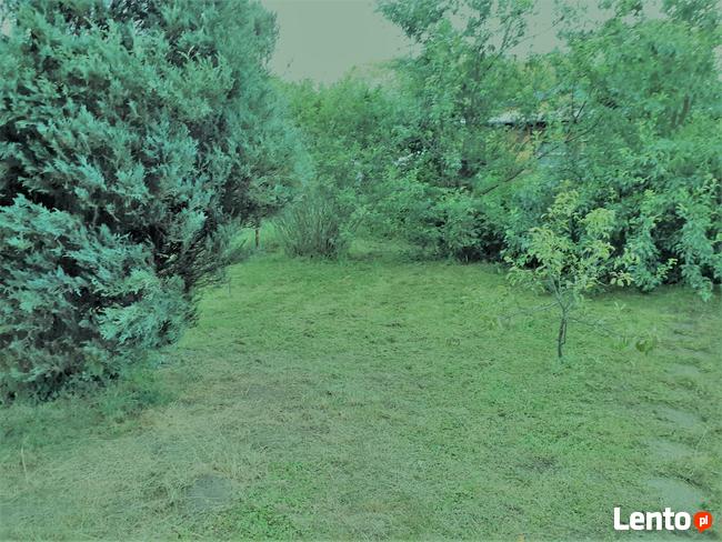 Sprzedam działka ogrodowa rekreacyjna ROD Dębowa