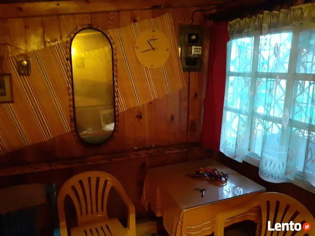 Sprzedam działka ogrodowa rekreacyjna ROD Dębowa