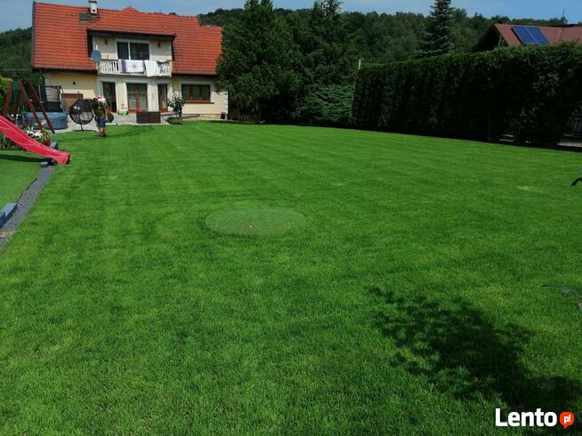 Trawniki od podstaw, nasadzenia Roślin SYSTEMY NAWADNIANIA