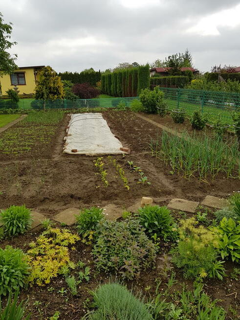 Działka 3 ar ogródki działkowe Mielec, Kosmonautów