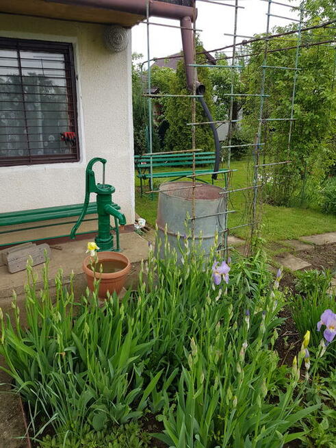 Działka 3 ar ogródki działkowe Mielec, Kosmonautów