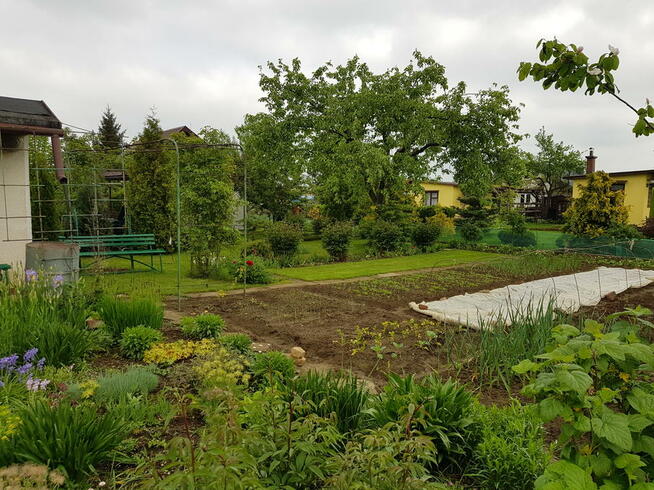 Działka 3 ar ogródki działkowe Mielec, Kosmonautów