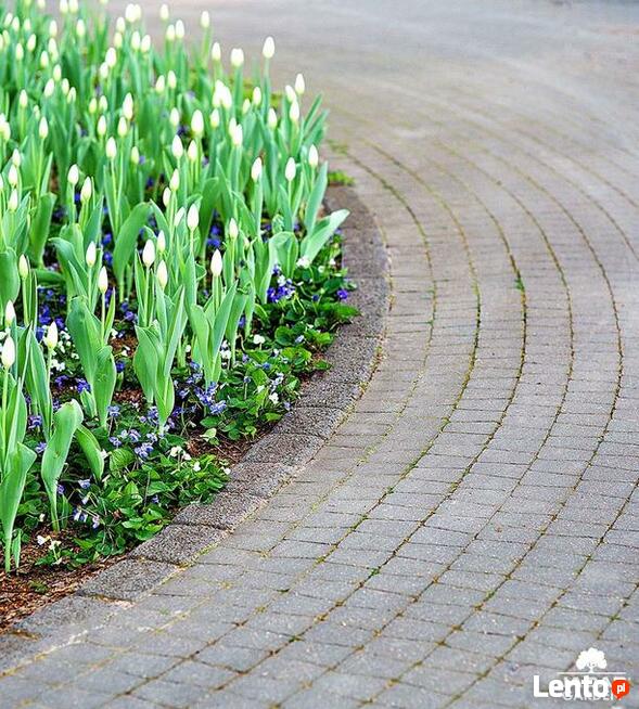 Kostka brukowa Arco klasyczna Jadar