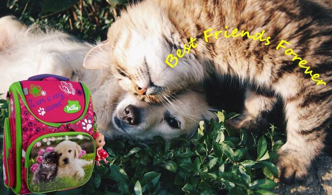 Tornister szkolny -Przyjaciele- powrót do szkoły