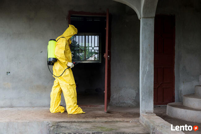 DDD KAJA DEZYNSEKCJA DEZYNFEKCJA DERATYZACJA HACCP