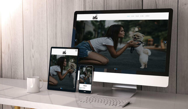 Tworzenie stron internetowych