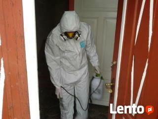 DDD KAJA DEZYNSEKCJA DEZYNFEKCJA DERATYZACJA HACCP