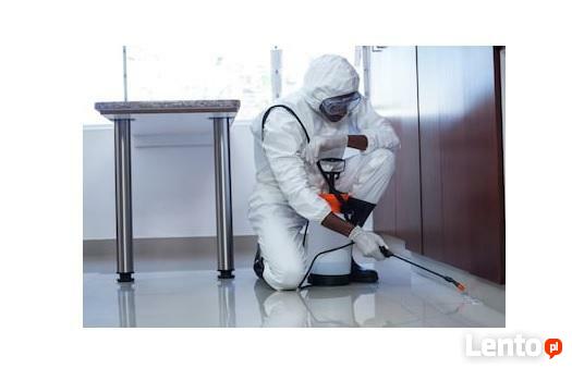 DDD KAJA DEZYNSEKCJA DEZYNFEKCJA DERATYZACJA HACCP