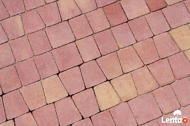 Kostka brukowa Arco ColorBlend