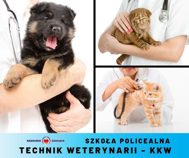 Akademia Zdrowia -Technik Weterynarii ostatnie wolne miejsca