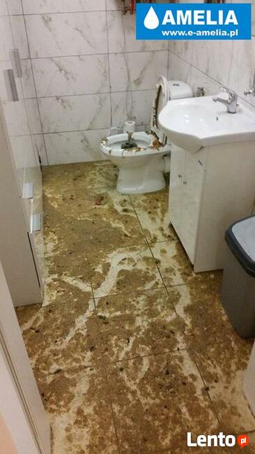 sprzątanie po wybiciu kanalizacji zalaniu Szamotuły