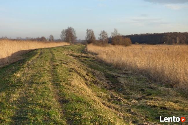 Działka rolna Koszalin