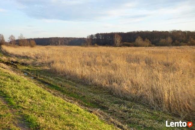 Działka rolna Koszalin