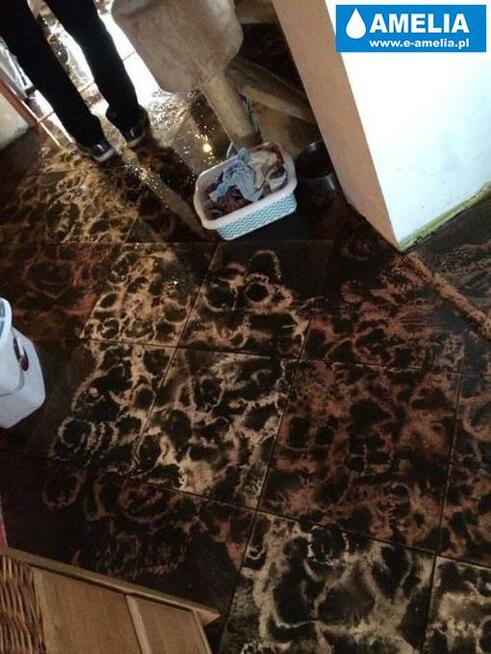 sprzątanie po wybiciu kanalizacji, zalaniu Inowrocław