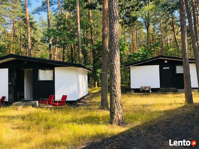Domki do wynajęcia - Koszęcin - od 100 zł