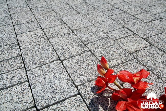 kostka brukowa Granito Lux supersklad.pl