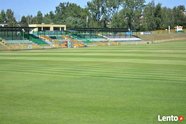 Zatrudnimy 10 pracowników do prac m.in. budowa drenażu