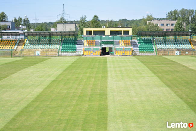 Zatrudnimy 10 pracowników do prac m.in. budowa drenażu